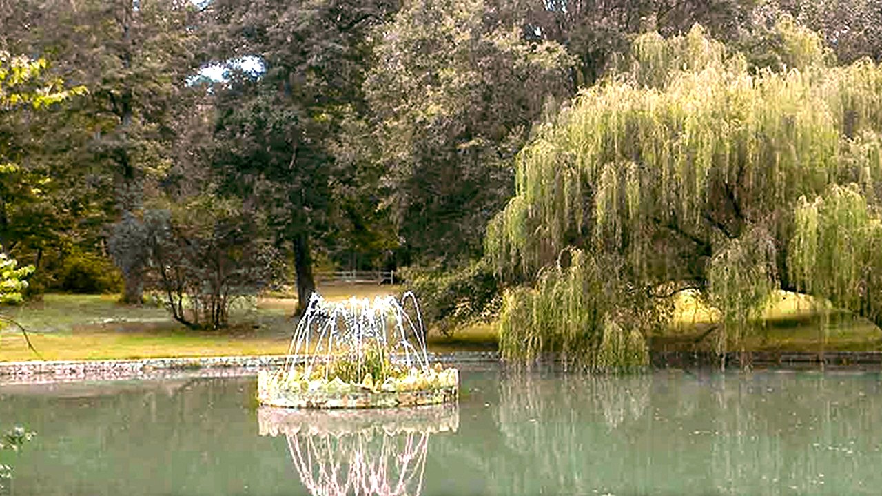 Bright Bryan Park pond and fountain near Red Oak Apartments in Northside Richmond